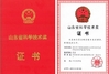 चीन SINOTRUK INTERNATIONAL CO., LTD. प्रमाणपत्र