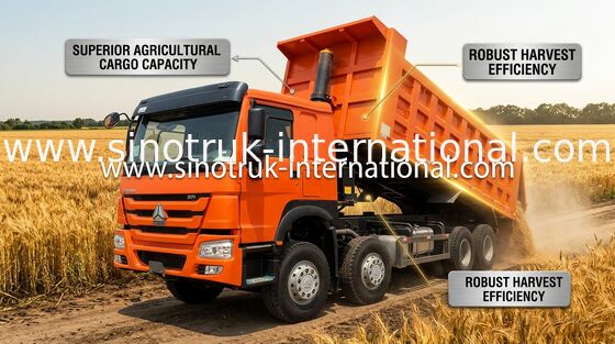 टिपर ट्रक SINOTRUK HOWO 371HP 12 पहियों LHD 31 टन 20-30CBM ZZ3317635WW