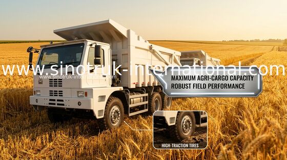 70 टोंस टिपर डंप ट्रक SINOTRUK HOWO70 खनन एलएचडी 6X4 420 एचपी